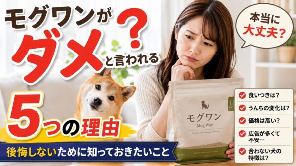 モグワンがダメと言われる理由について悩む飼い主と柴犬