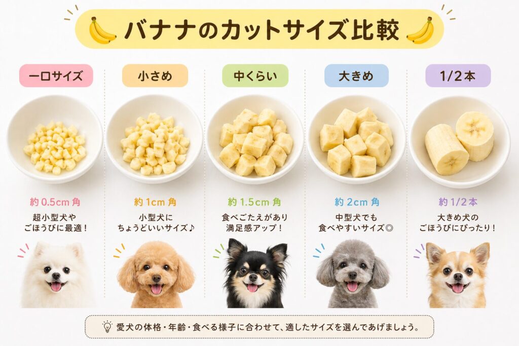 犬の体重ごとのバナナの適量比較（小型犬から大型犬まで）
