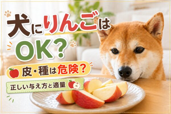 犬がりんごを見つめている様子と安全に与えるイメージ