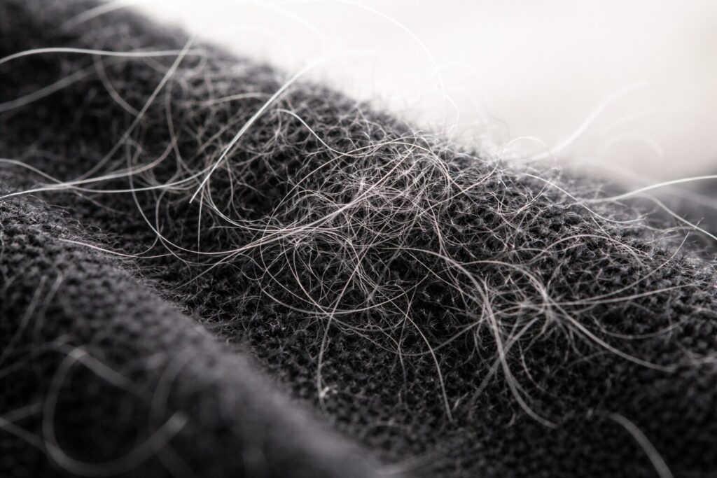 衣類の繊維に絡みついた犬の毛のクローズアップ