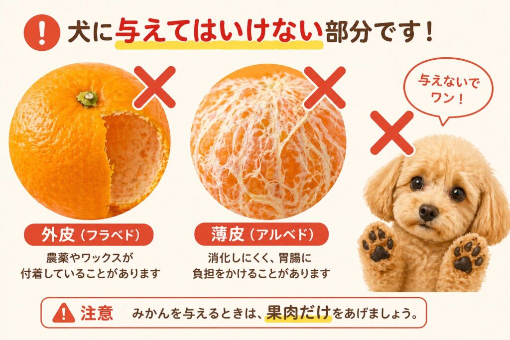 みかんの皮や薄皮は犬に与えてはいけない部分