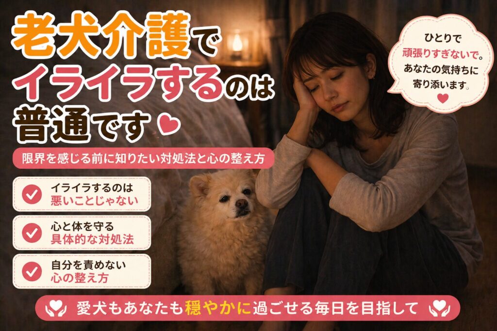 老犬介護に疲れながらも寄り添う飼い主の様子