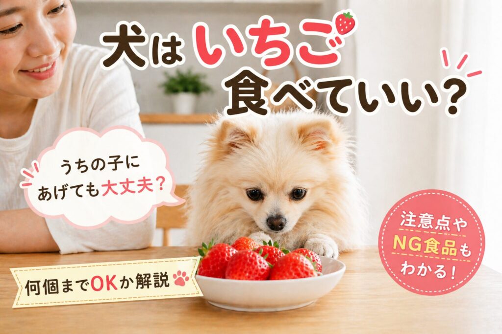 犬がいちごを前にして食べていいか迷っている様子