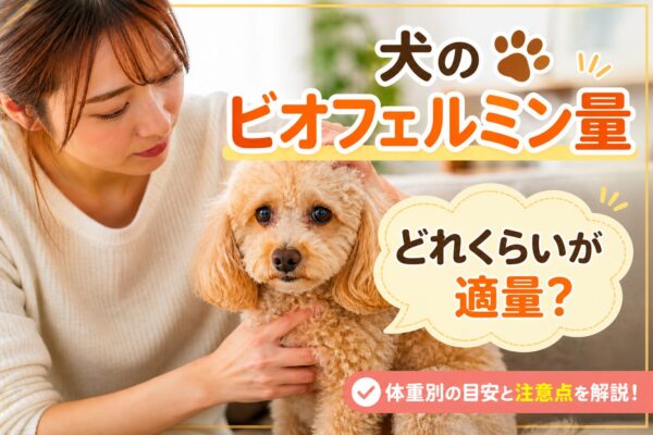 犬が不安そうな表情で飼い主に様子を見られている様子