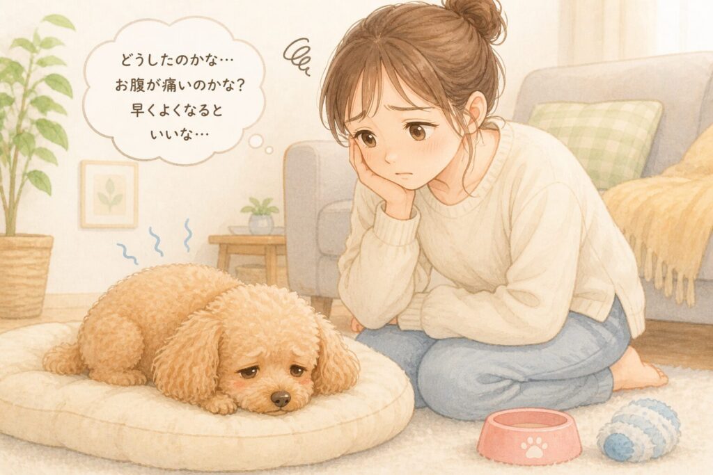 犬 下痢 軟便 お腹の不調 症状