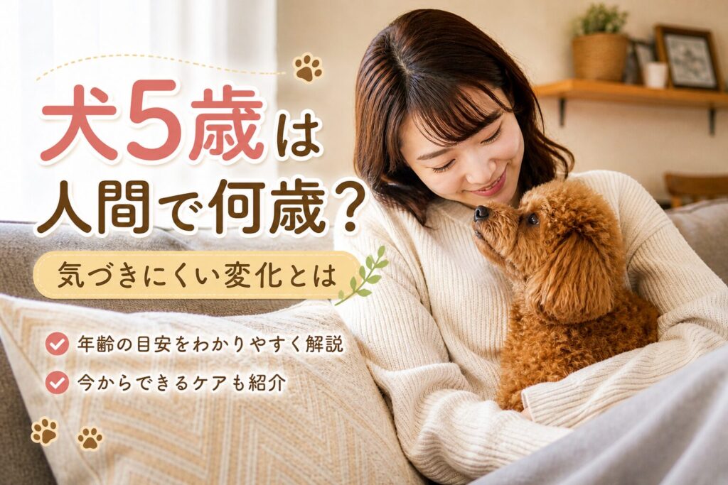 犬5歳は人間で何歳か気になる飼い主と犬のイメージ
