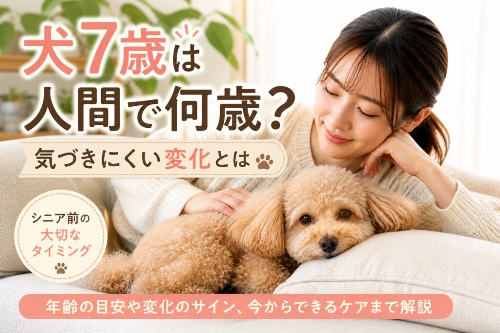 犬7歳 人間年齢の目安