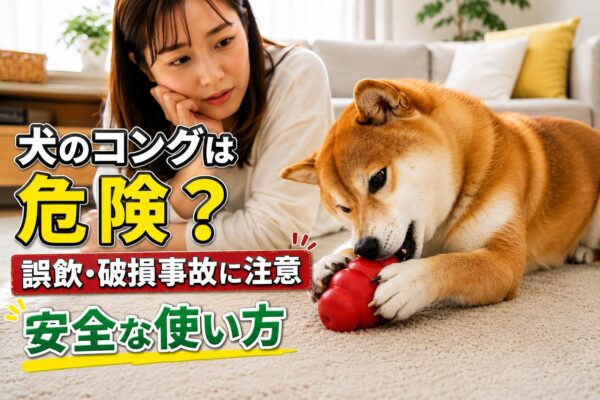 コングを噛んで遊ぶ柴犬と見守る飼い主