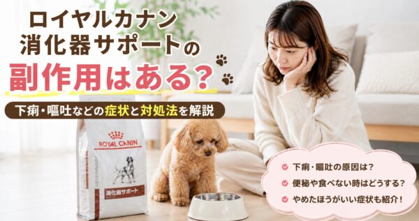ロイヤルカナン消化器サポートの副作用や下痢・嘔吐を心配する飼い主と犬
