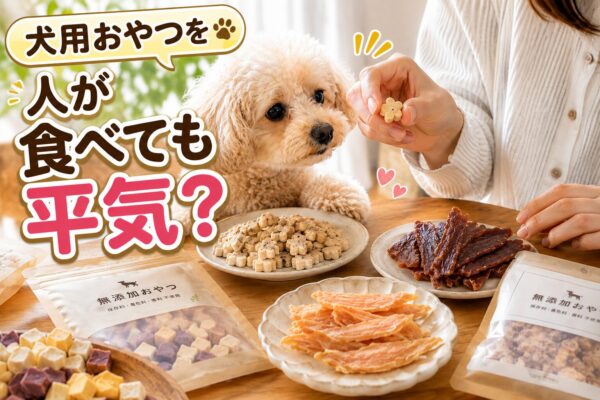 犬用クッキーやジャーキーを見つめる飼い主と小型犬