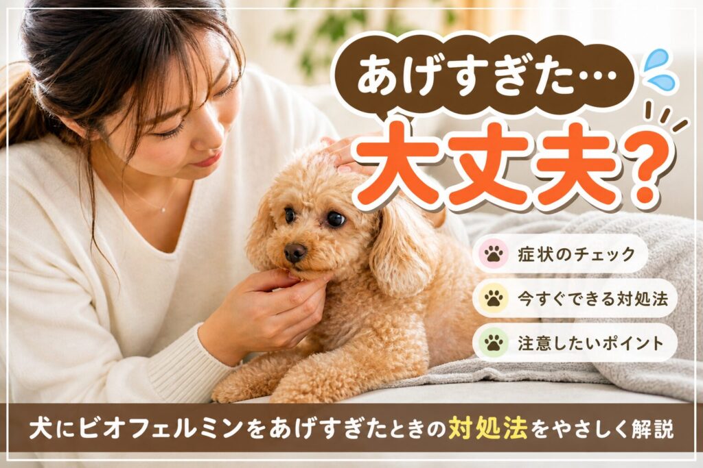 犬にビオフェルミンをあげすぎて心配する飼い主