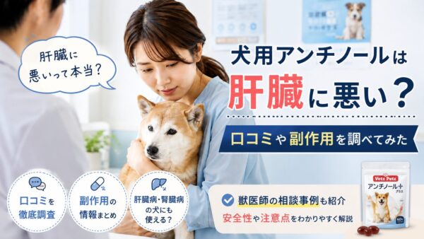 愛犬の健康を心配しながら犬用アンチノールについて調べる飼い主