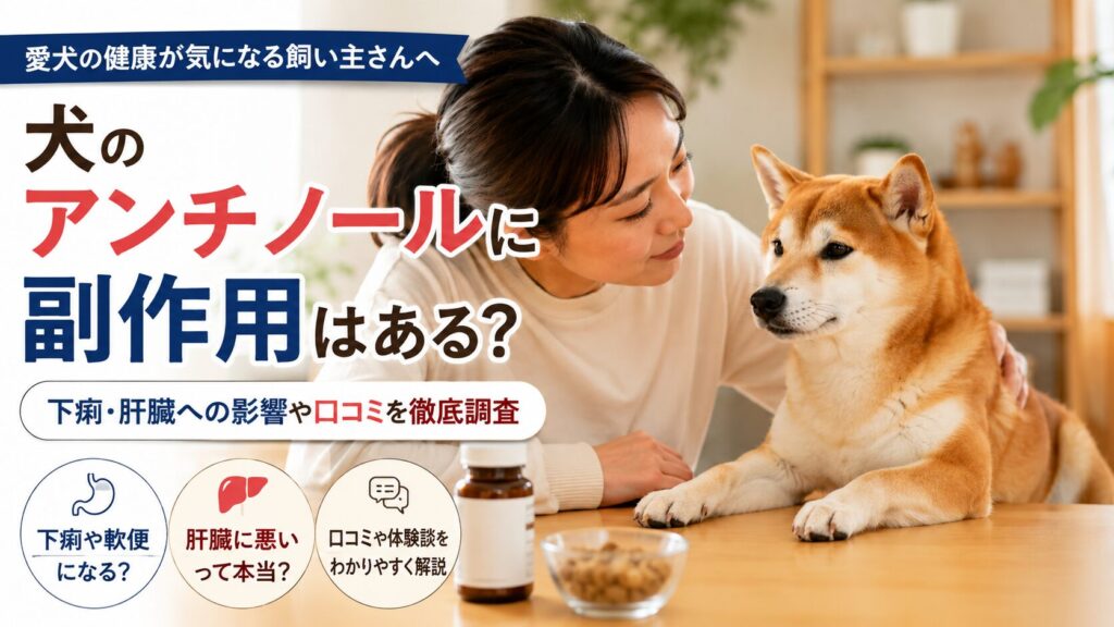 アンチノールの副作用が気になり愛犬を見つめる飼い主