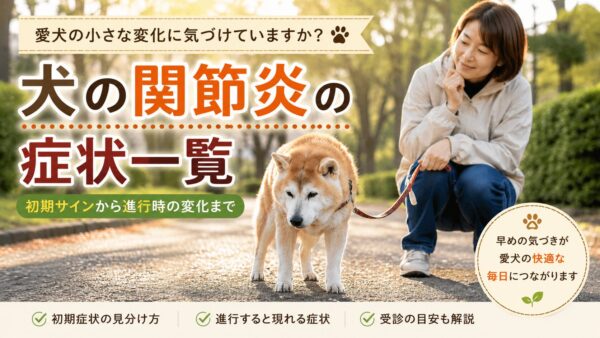 散歩中に立ち止まるシニア犬の様子