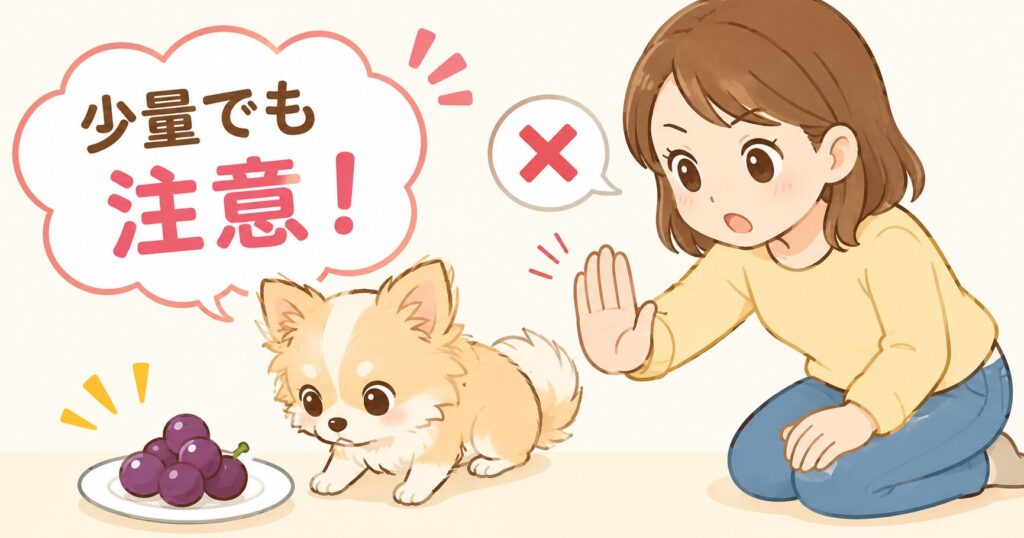 数粒のぶどうを見つめる犬と制止する飼い主