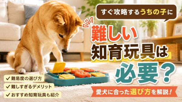 知育玩具のおやつを探しながら遊ぶ犬