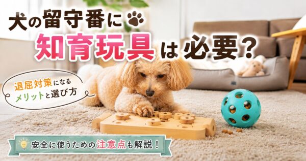 留守番中に知育玩具で遊ぶ犬