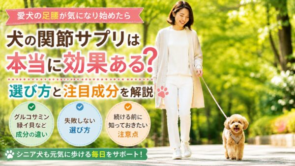 関節ケアを意識して散歩する犬と飼い主
