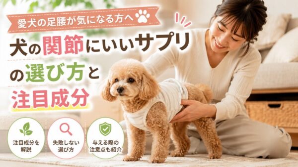 犬の足腰を気遣う飼い主と小型犬