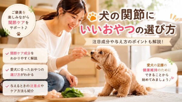 犬の関節にいいおやつを選ぶ飼い主と小型犬