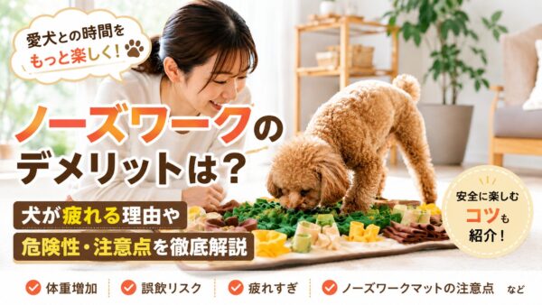 ノーズワークマットでおやつを探す犬を飼い主が見守っている様子