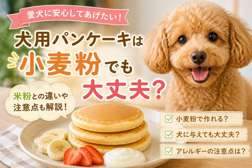 小麦粉で作った犬用パンケーキと笑顔の犬
