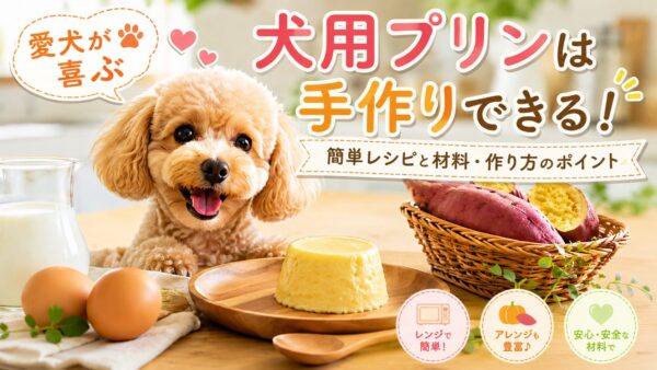 犬用プリンを手作りした完成イメージ