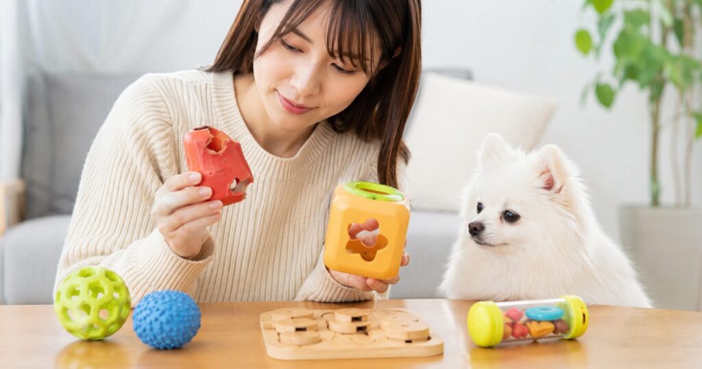 知育玩具の状態を確認する飼い主