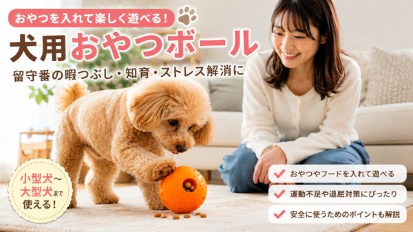 犬がおやつボールからフードを取り出して遊んでいる様子