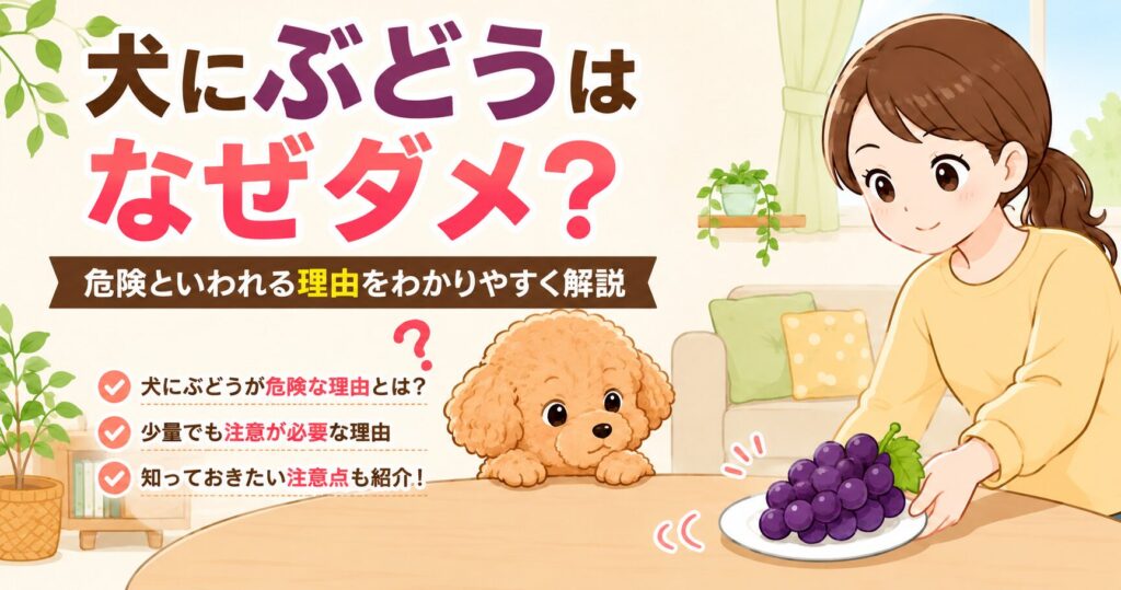 ぶどうを見つめるトイプードルと止めようとする飼い主