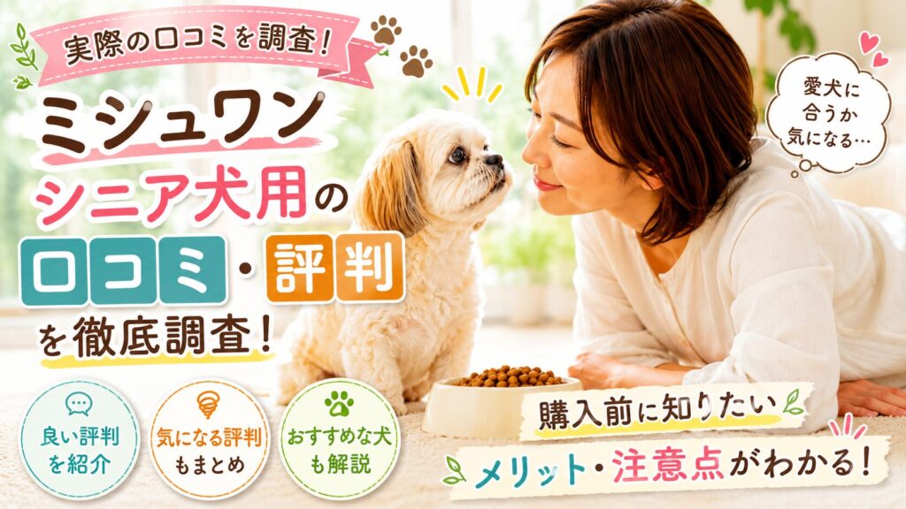 シニア犬向けドッグフードを前に座る小型犬