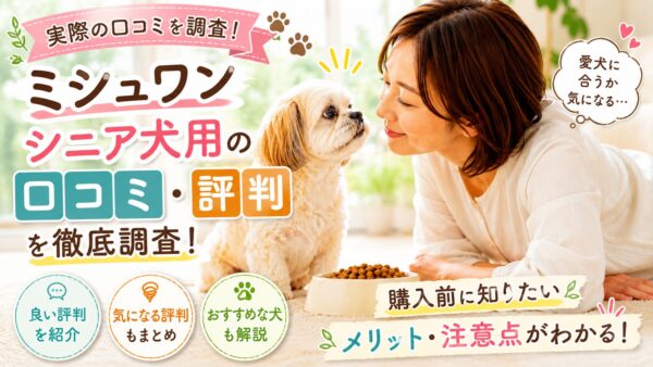 シニア犬向けドッグフードを前に座る小型犬