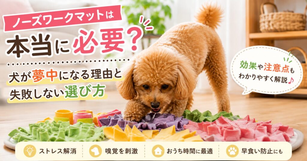 ノーズワークマットでおやつを探して遊ぶトイプードル
