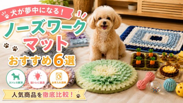 複数のノーズワークマットと知育玩具を前に座る犬