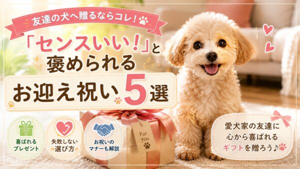 子犬とお祝いのプレゼントボックスが並んだイメージ画像